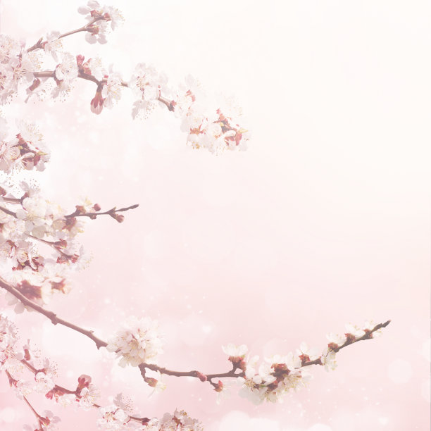 抽象的春天的背景图片下载