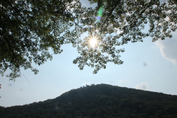 绿色的景色图片下载