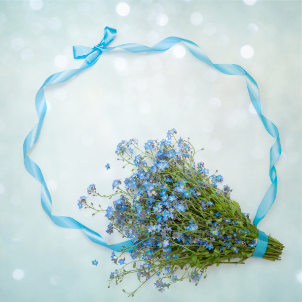 美丽的贺卡与野花勿忘我图片下载