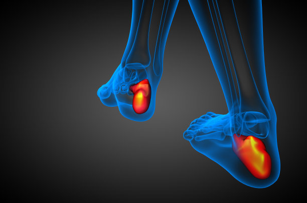 跟骨的3d渲染医学插图图片下载