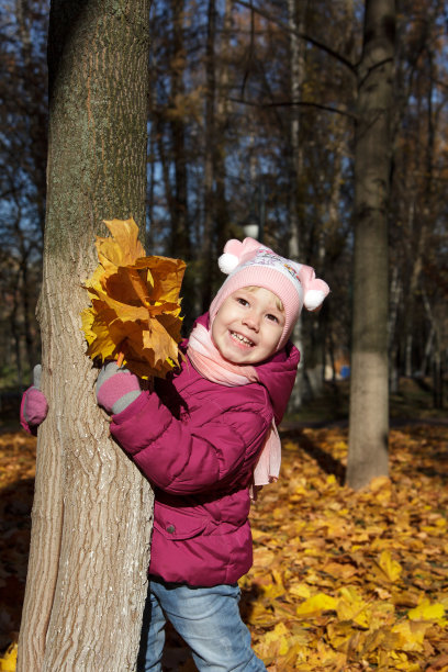 黄色的秋天图片下载