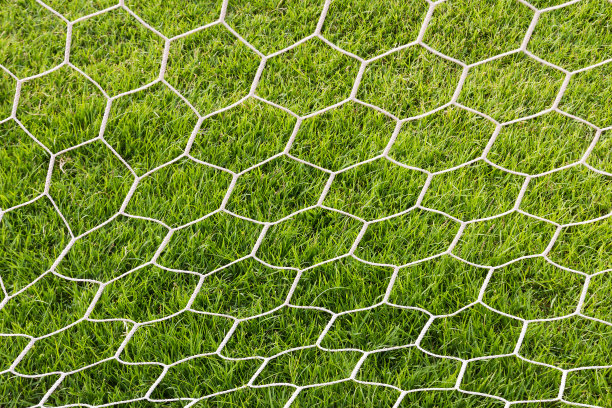 球门足球的背面图片下载