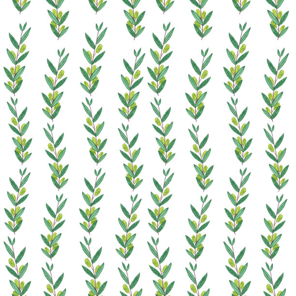 无缝水彩图案与橄榄枝。图片下载