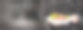 厨师把饭菜做得很好。素材图片