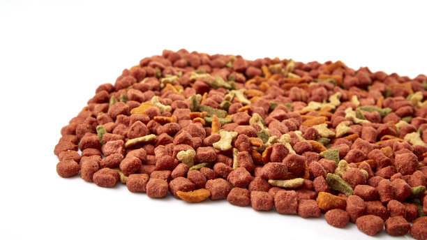 一堆狗粮图片下载
