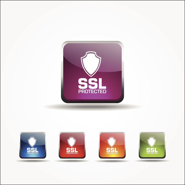 SSL保护彩色矢量图标设计图片下载