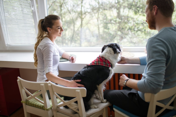 一对美丽的夫妇在家里放松，爱护他们的宠物图片下载