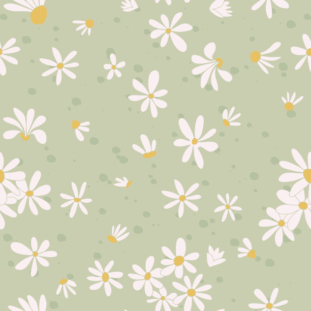 无缝纹理与花的图片。洋甘菊图片下载