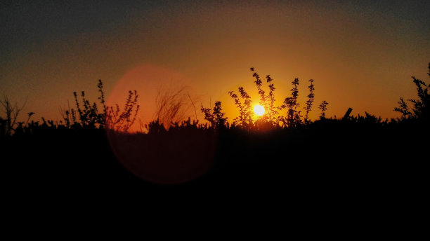 早上的太阳图片下载