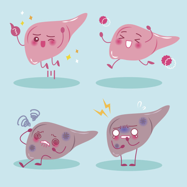 健康理念的肝脏素材图片