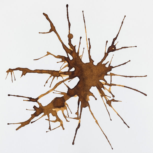 咖啡渍设置，孤立在白色背景图片下载