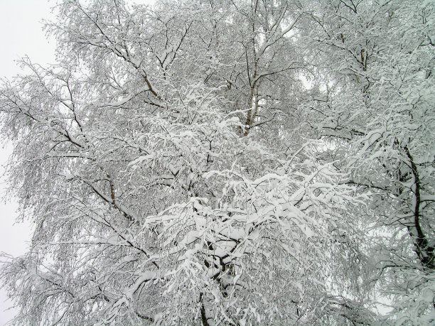 冬天的印象图片下载