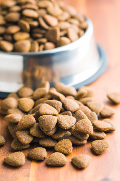 干狗粮素材图片