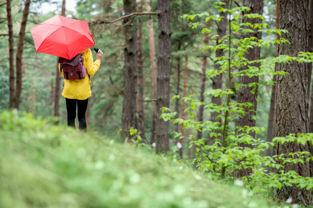 在森林里徒步旅行的女人图片下载
