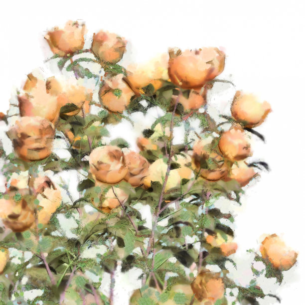 花水彩玫瑰丛图片下载