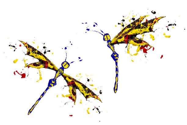 红黑黄漆做成蜻蜓套图片下载