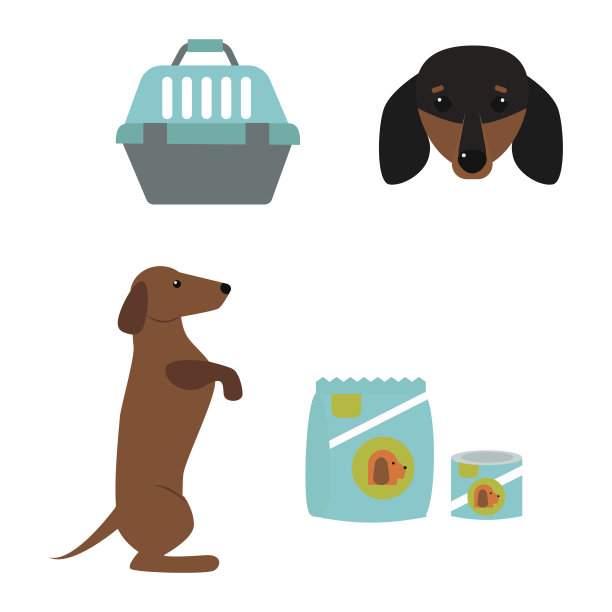 腊肠狗狗玩矢量插画元素设置平坦风格的小狗家庭宠物配件图片下载