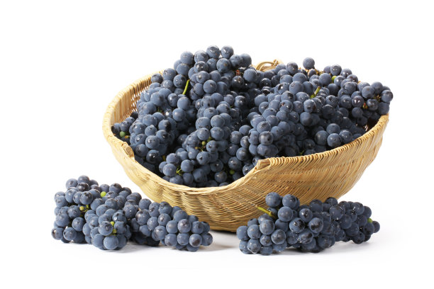 白色背景上的紫葡萄图片下载