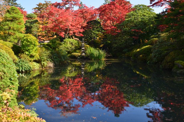 日光的秋色图片下载