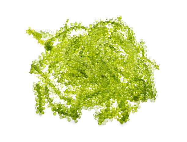 米不斗，葡萄，海藻或绿色鱼子酱在白色的背景素材图片