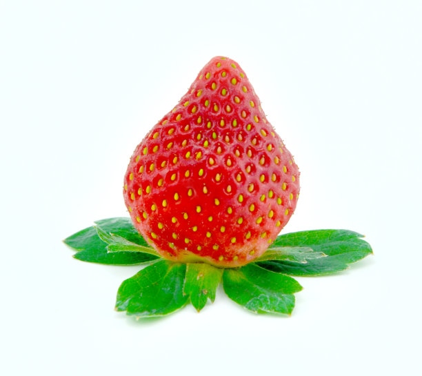 白色背景下有绿叶的单颗草莓图片下载