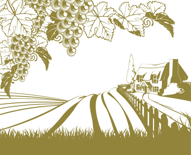 葡萄园起伏的山景图片下载