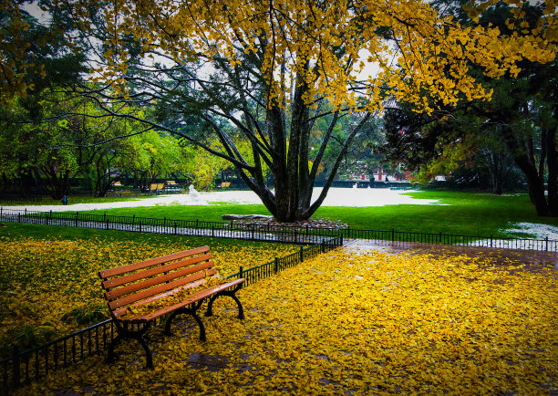 看星星图片下载