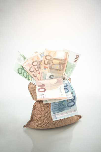 钱袋欧元钞票图片下载