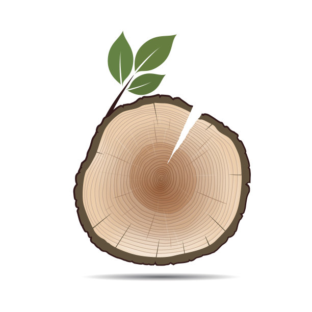树和绿叶的年轮。颜色向量插图。图片下载