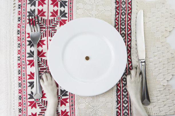 严格的狗的饮食图片下载