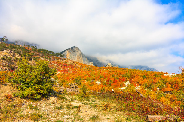 深山秋色图片下载