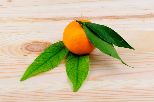 新鲜的普通话图片下载