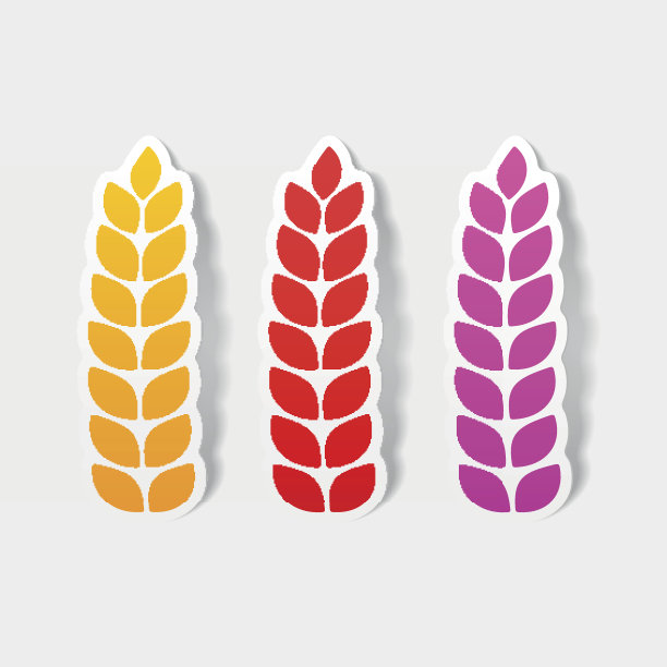 真实的设计元素:麦穗图片下载