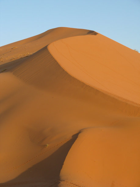 撒哈拉沙漠沙丘图片下载