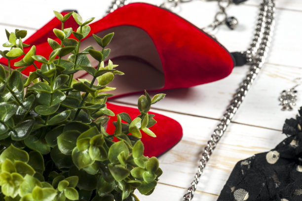 女性服装设置和配件在白色木制背景。图片下载