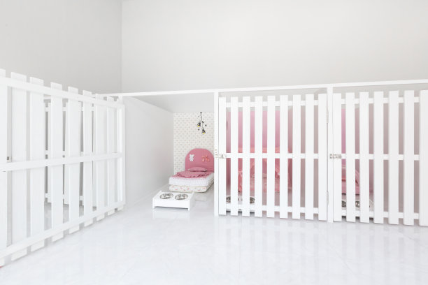 狗窝在家里。图片下载