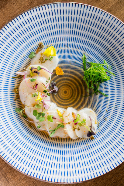 生扇贝俯视图。图片下载