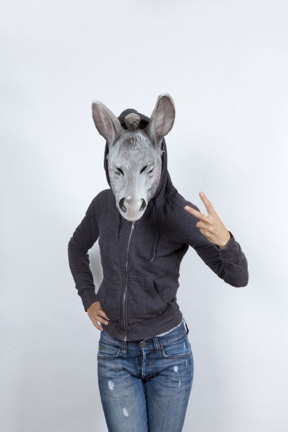 驴子穿着连帽衫图片下载