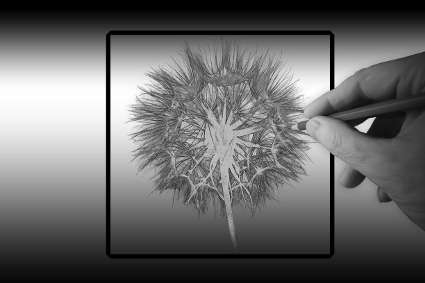 系列插图图片下载