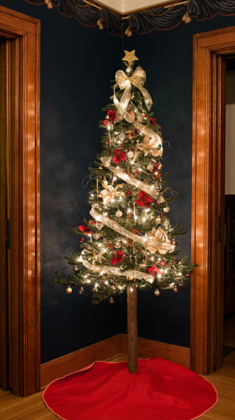 圣诞树的角落图片下载