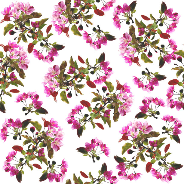 花卉无缝图案-春季背景图片下载