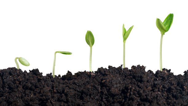 工厂。图片下载