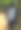 毕业礼服，海军蓝帽子，白色腰带。图片下载