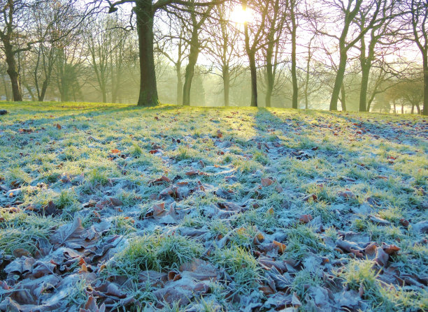 寒冷的早晨。图片下载