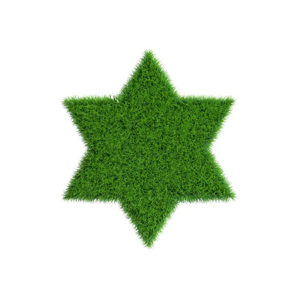 六角星形状的草地。图片下载