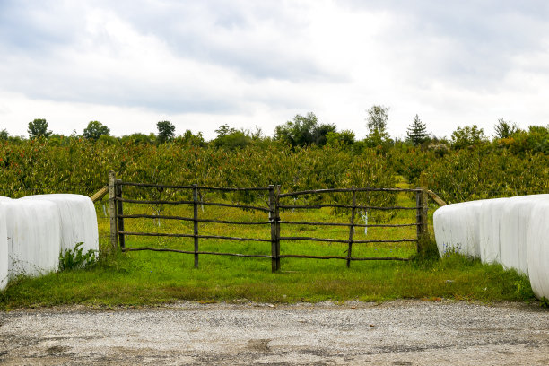 果树和干草包图片下载