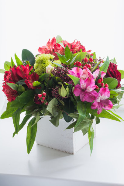 白色背景的花盆里有一束美丽的红玫瑰和astermers。图片下载