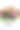 白色背景的花盆里有一束美丽的红玫瑰和astermers。图片下载