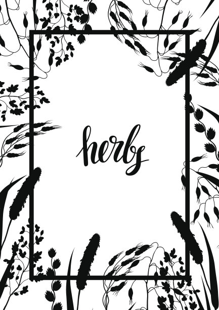 框架与香草和谷类草的剪影。草甸植物的花卉设计图片下载