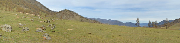 高山牧场和岩石，阿尔泰山脉，西伯利亚，俄罗斯图片下载